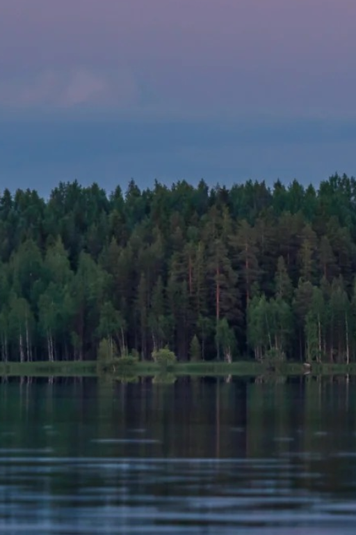 非排他性的爱情是否只是一种爱慕虚荣