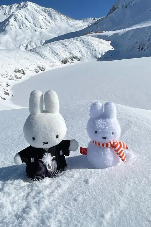 简硕衿和林序初