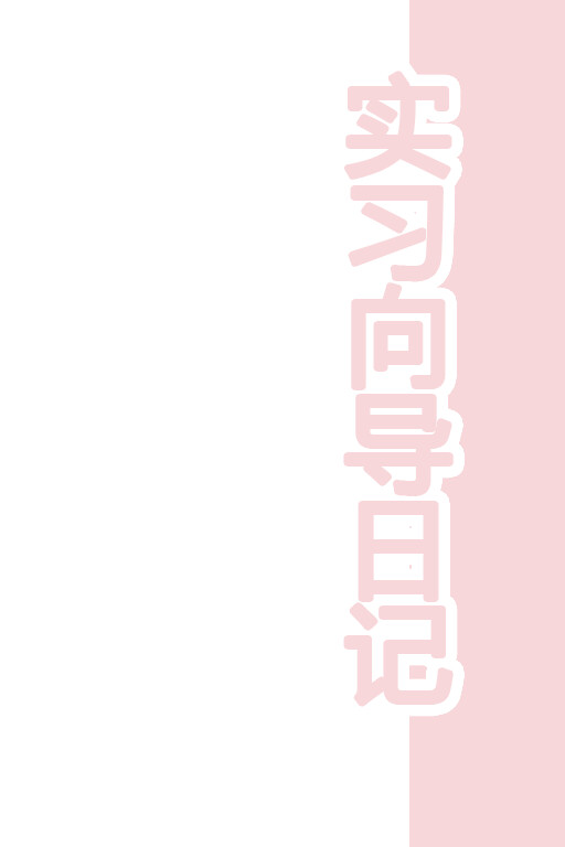 实习向导日记