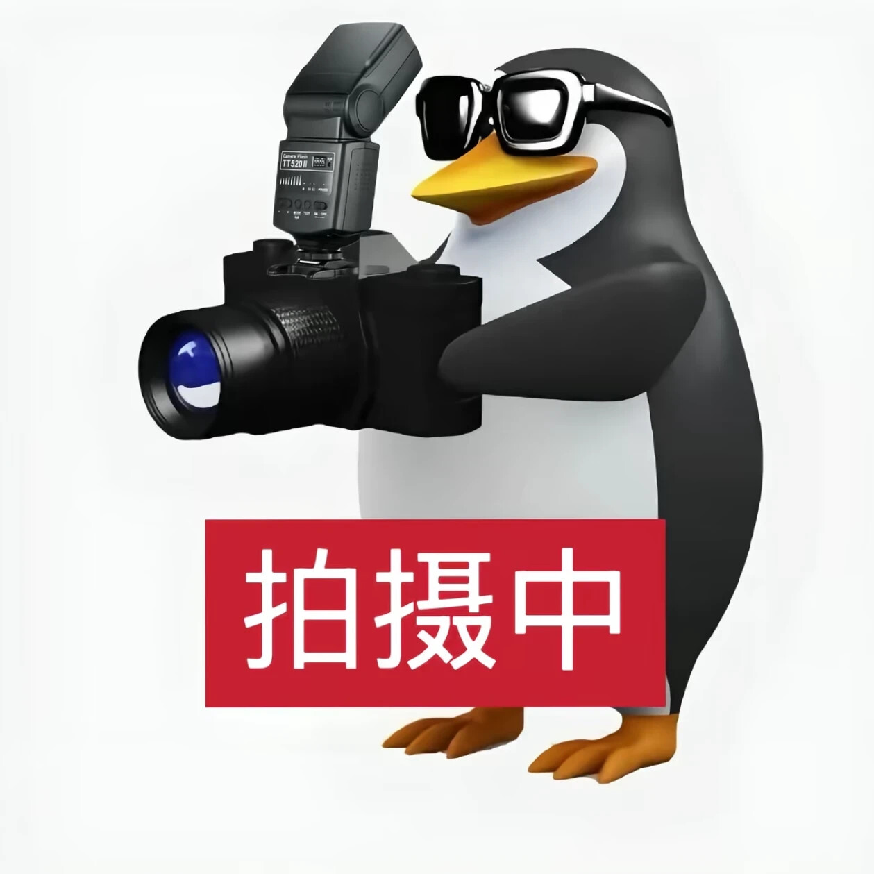 【抓取导入】1453638434337067119_1766133001593